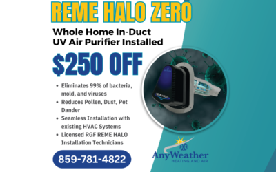 $250 Off REME HALO Air Purifier Installation